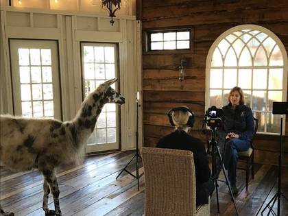 On location for an interview shoot. The llama was not in the brief.